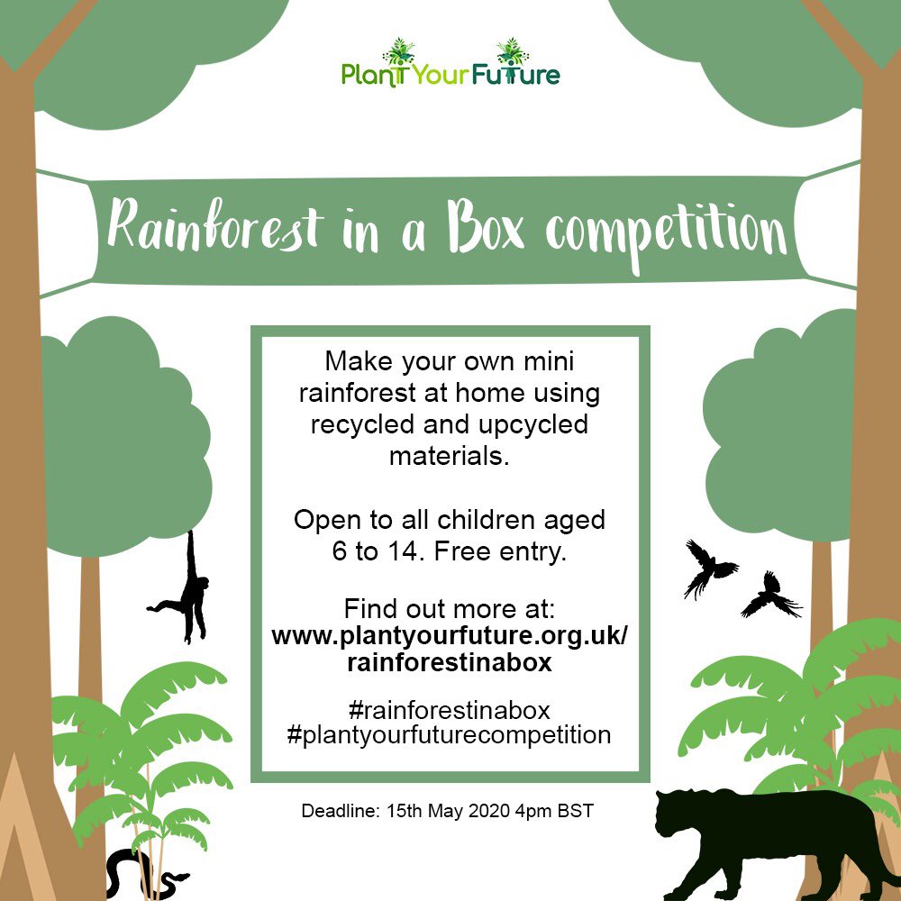 plantfutureperu's tweet photo. #RainforestinaBox #plantyourfuturecompetition https://t.co/U2mHznrIVw