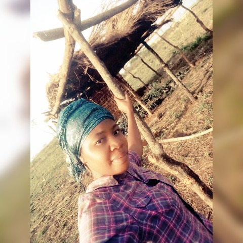 Mon ombrière restaurée et prête à accueillir les nouvelles plantes