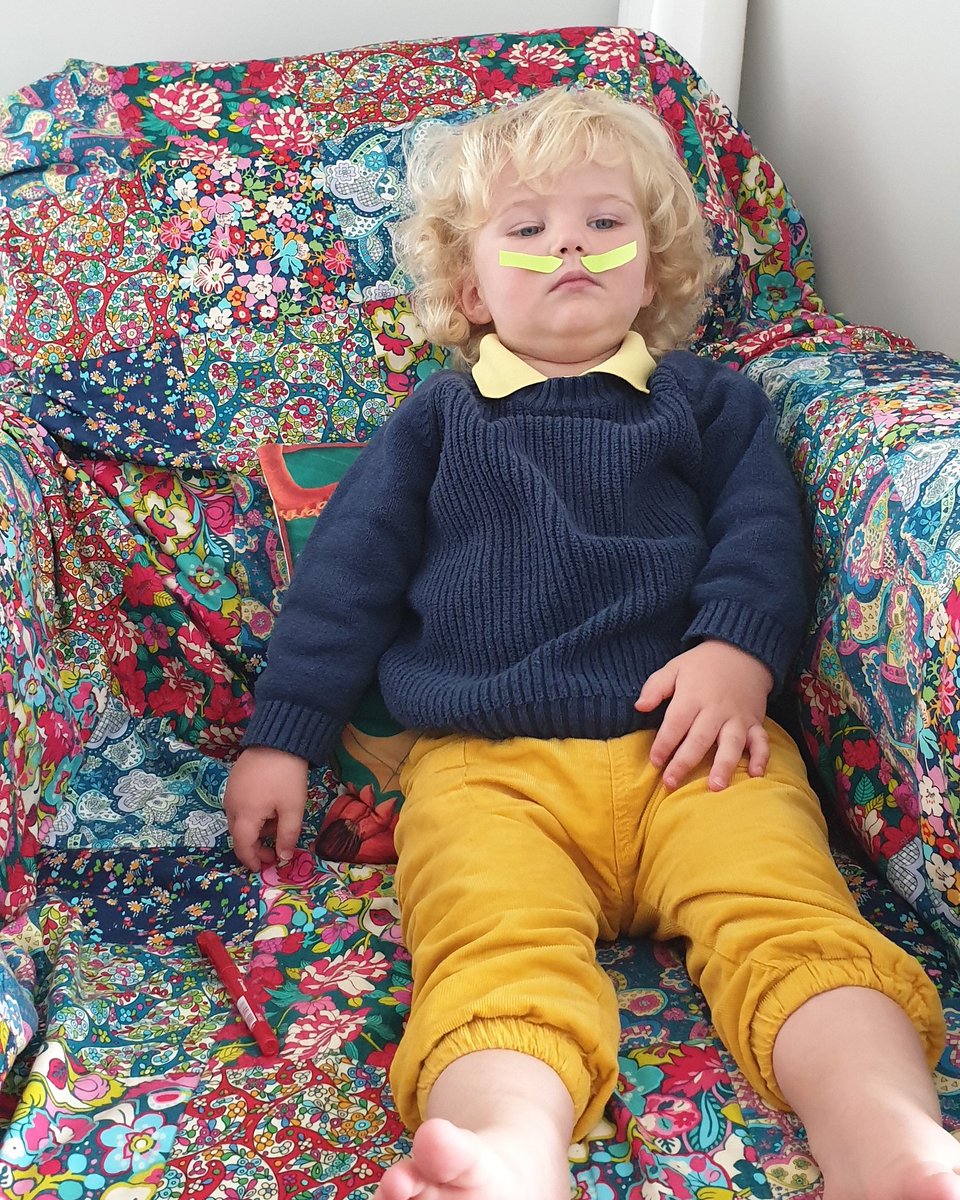 HMcKerchar's tweet photo. My 5th PhD supervisor might be doing a bit more waiting for the thesis #phdlife #multitaskingmama #wfhmum #Squidy #stayingyourbubble #stayhomenz @dobson_lab @RiddetIns https://t.co/045eRxHayF