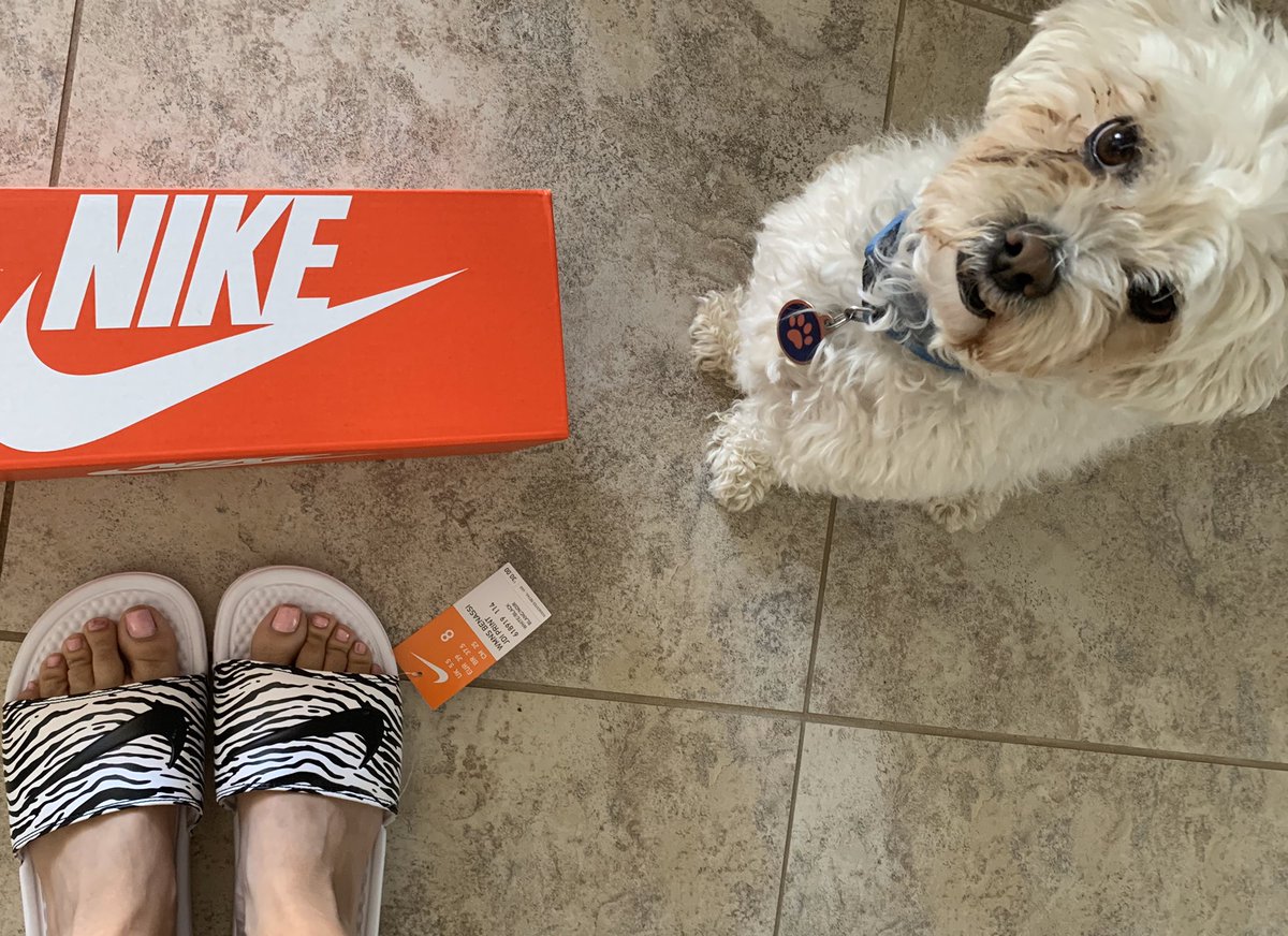 rikfig4's tweet image. Hubby bought me some new slides (because he was sick of me always borrowing his🙃) and they came in on my Gammaversary👏🏼🎁 #HappinessIs #GAO #spring2012 #thegoodoldays 🐾💙💚💎