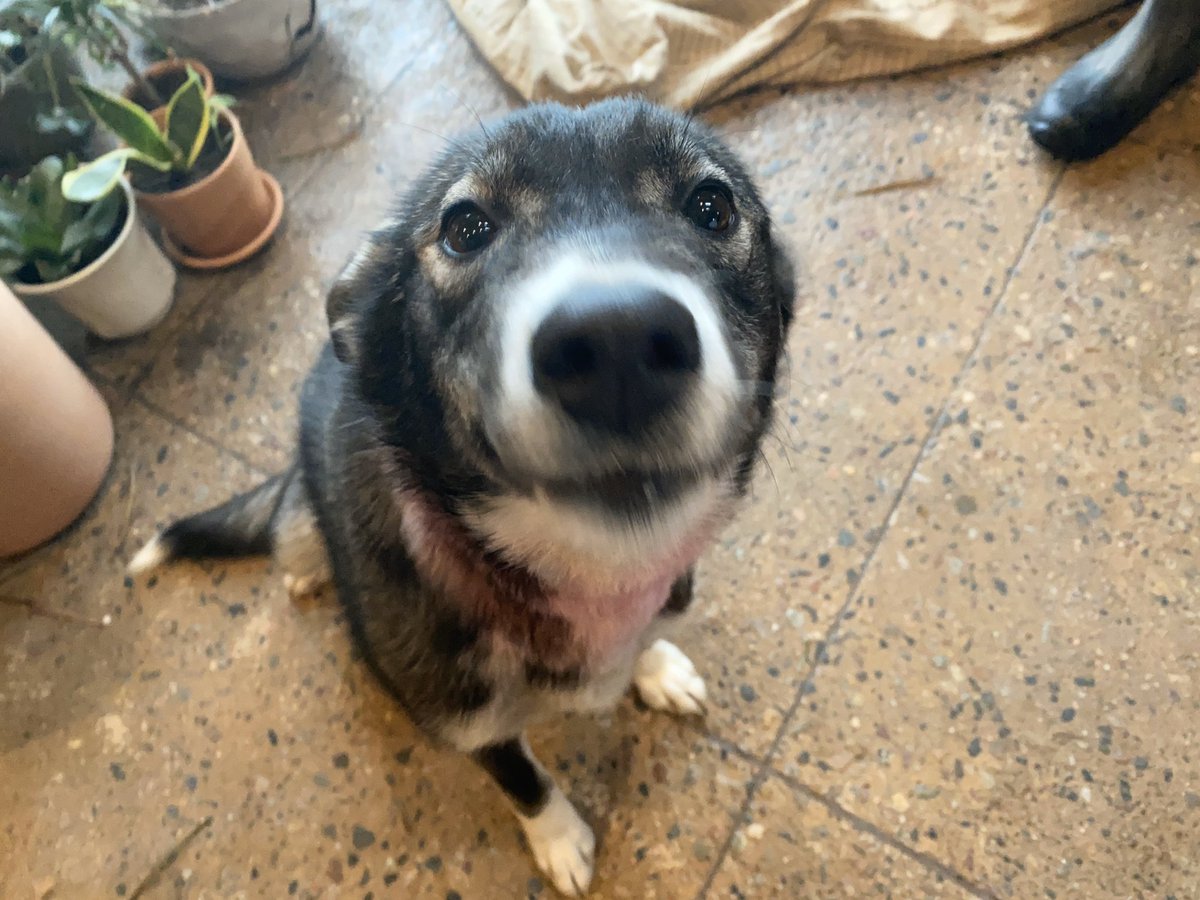 ComedyPact's tweet image. Wow we miss our fans!!!!!!