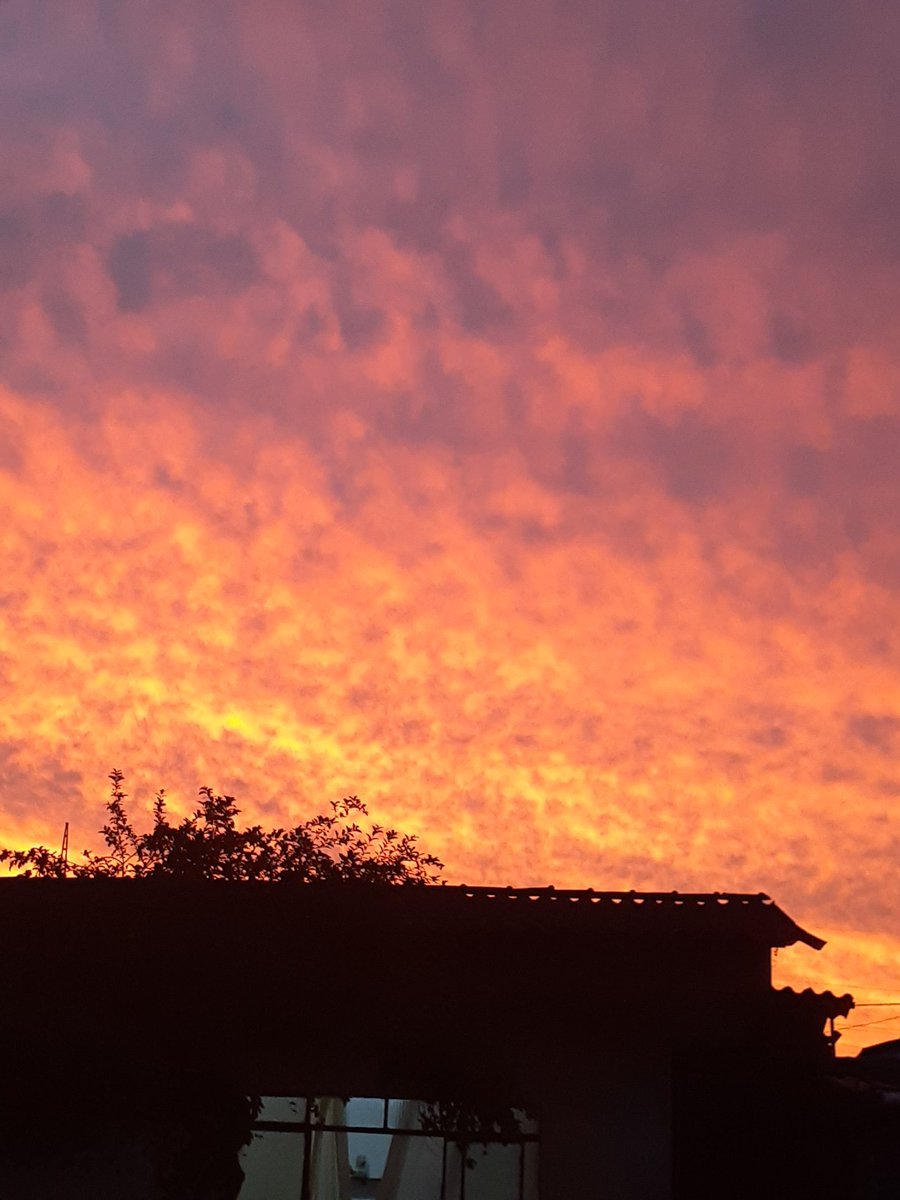 WaleskaDziegel2's tweet photo. Que céu minha gente que céu!
#CeuRosa ❤ https://t.co/aXdGiUCNDr