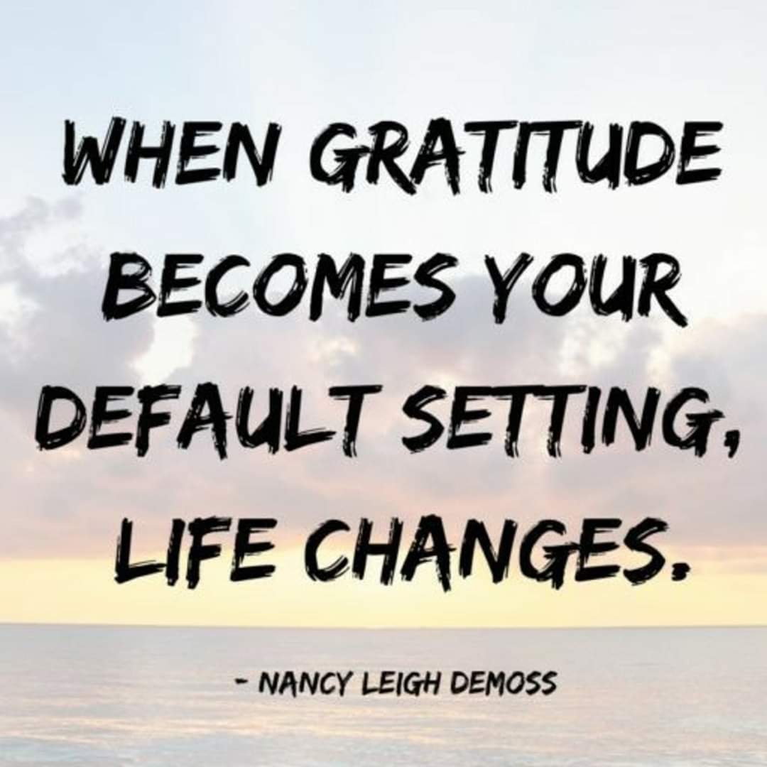 GeraldineRyan tweet media