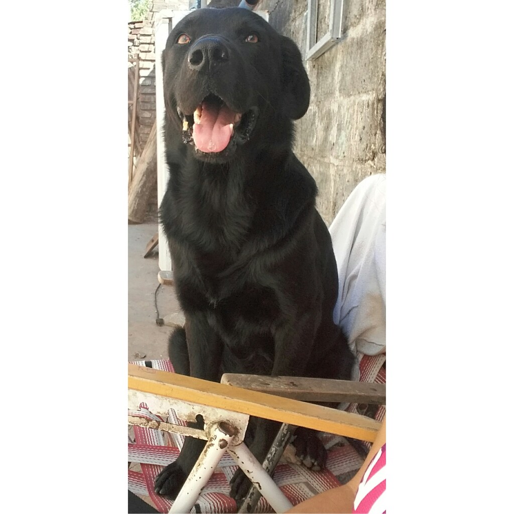 Rooo_portillo's tweet photo. Mi bebé de mamá😍 https://t.co/u0KDdLZ2sO