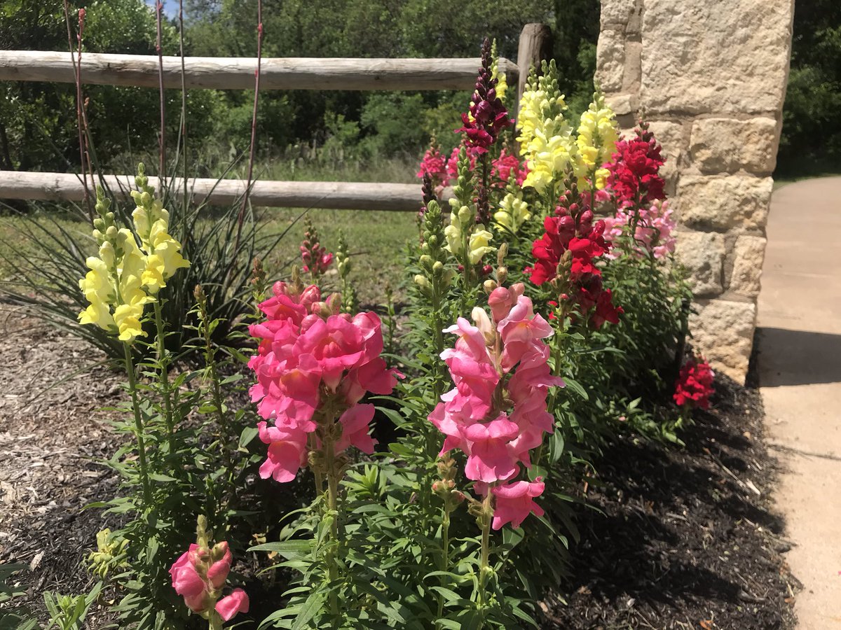 RoamPath's tweet image. Walking outside is great! #health