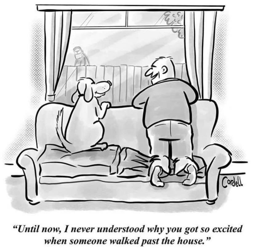 Keep Social Distancing everyone and THANK YOU for doing it! #STARS #AdoptDontShop #rescue #Ifinallyunderstandmydog