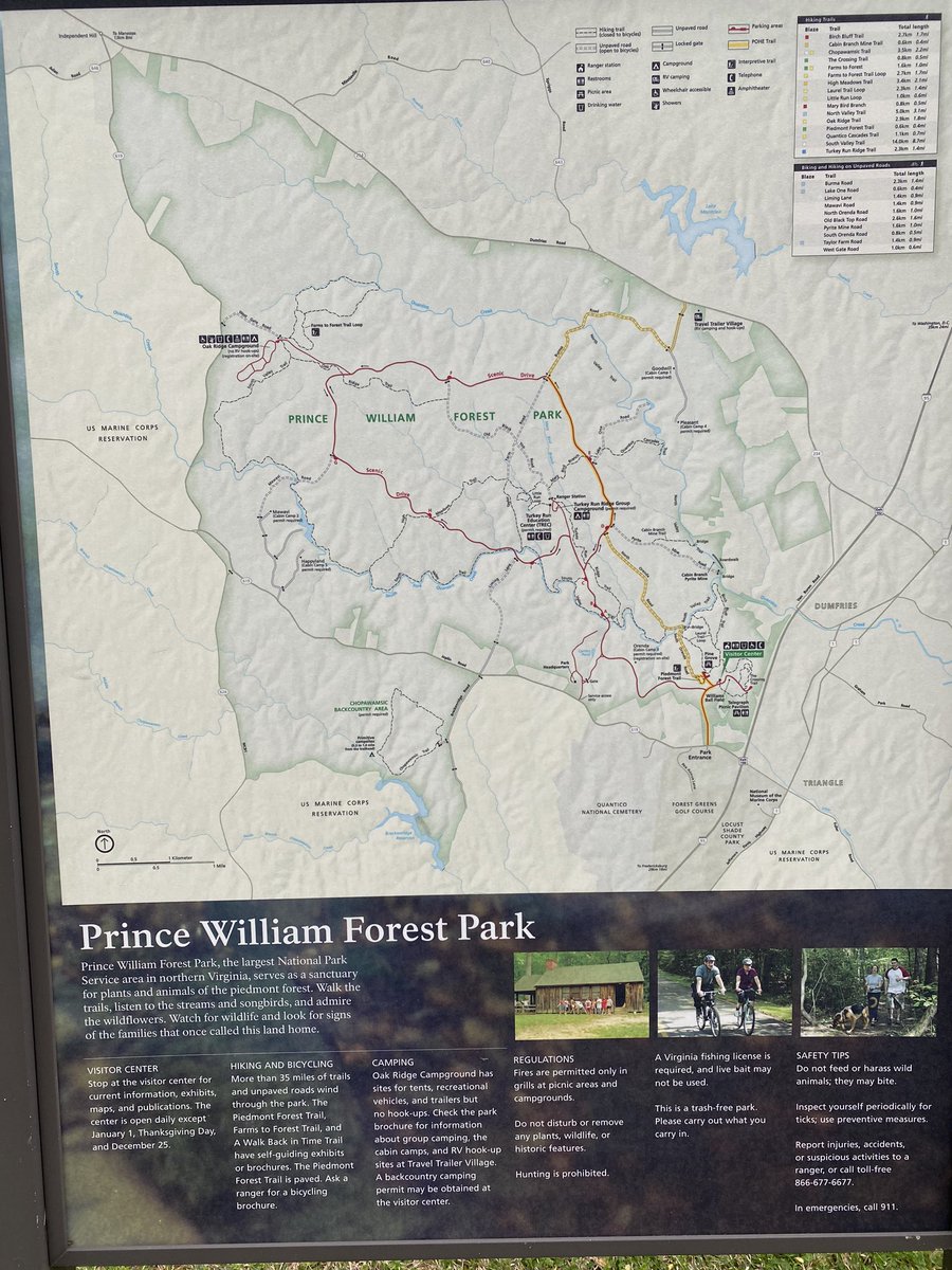 Okie dokie! Let’s go for a “hike” together. Today, I’ve chosen Prince William Forest Park: it’s close to home, and part of the  #NPS. Created in 1936 during the height of the Great Depression, it was part of a public works project championed by FDR.