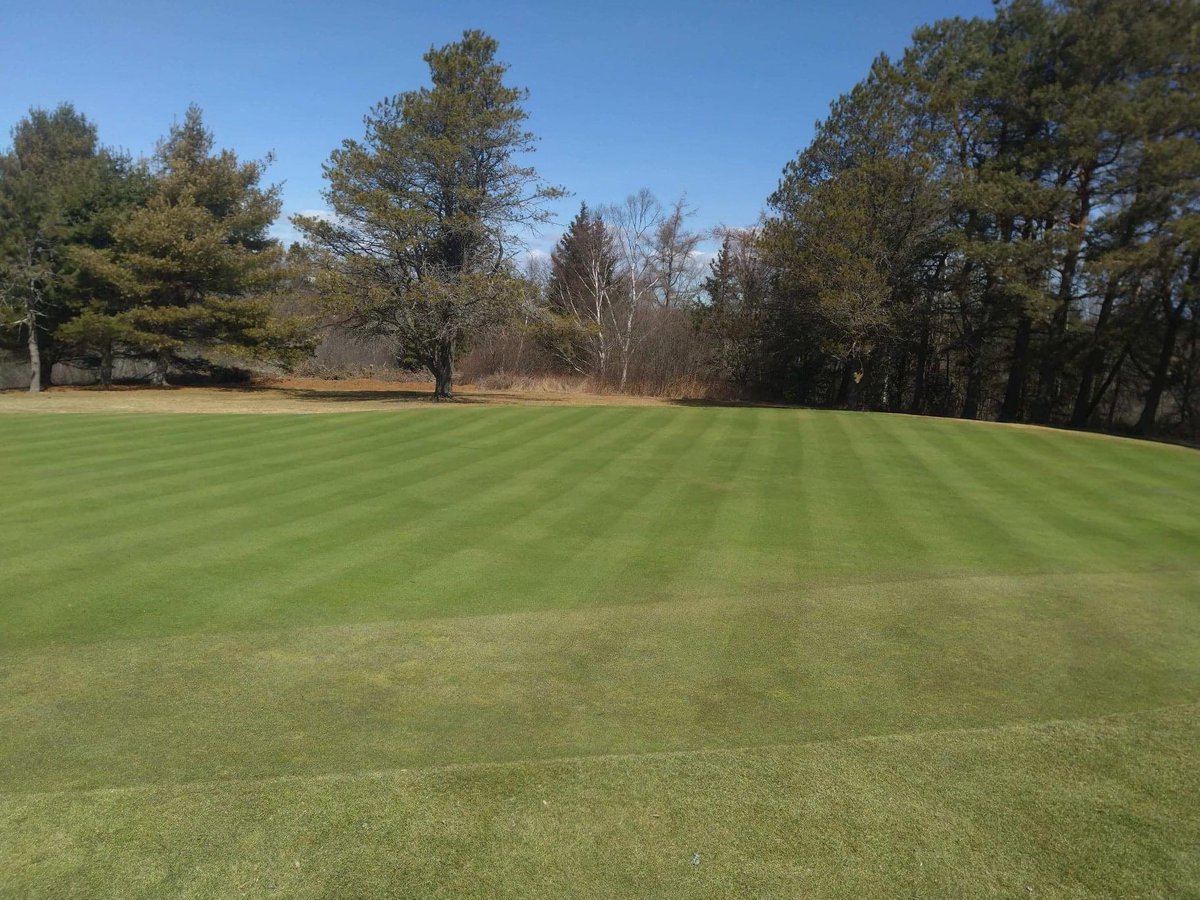 Amherst Golf Club tweet media