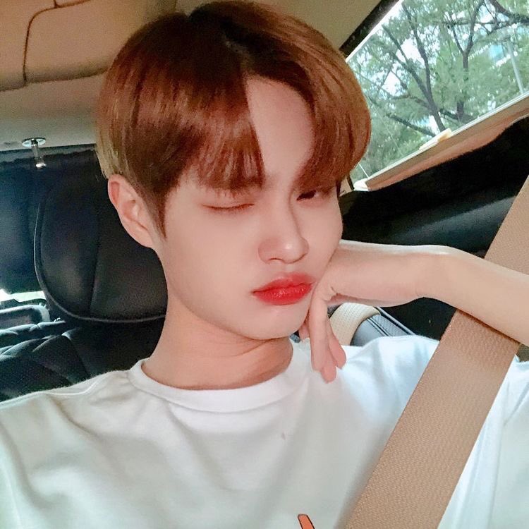 sba dumb messages as lee daehwi selcas: a thread