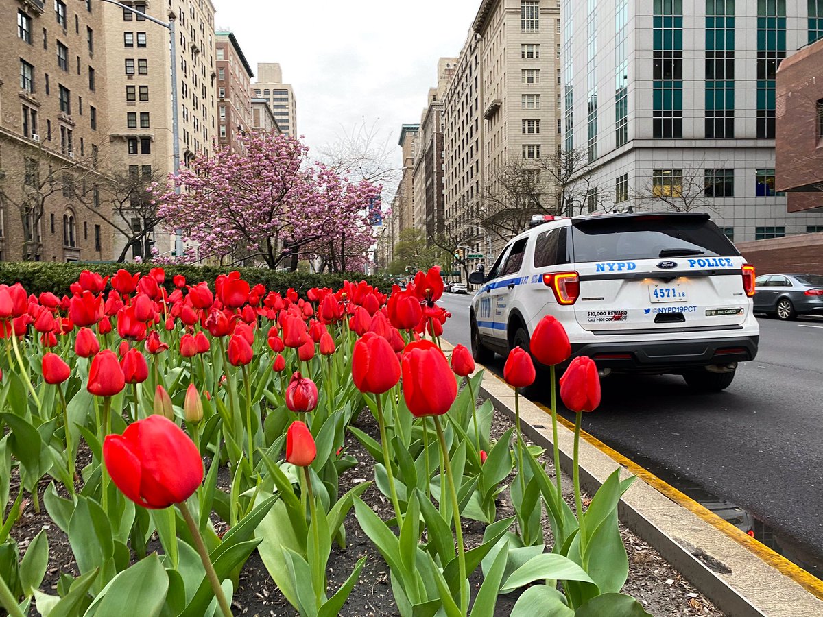 Florals? For Spring? Groundbreaking
(and absolutely beautiful!)