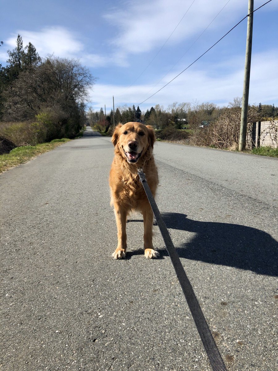 Mr. Perry tweet media