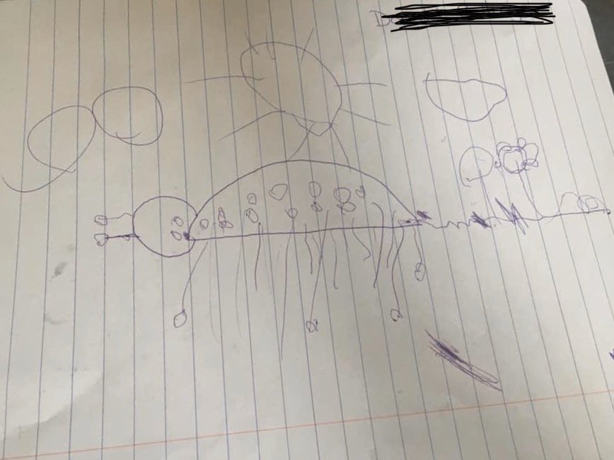 CrepsMichelle's tweet photo. Guided drawing during our Zoom Meeting today.  ❤️ https://t.co/y8JMvHPU9g