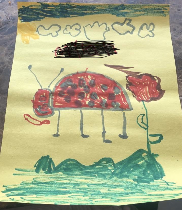 CrepsMichelle's tweet photo. Guided drawing during our Zoom Meeting today.  ❤️ https://t.co/y8JMvHPU9g