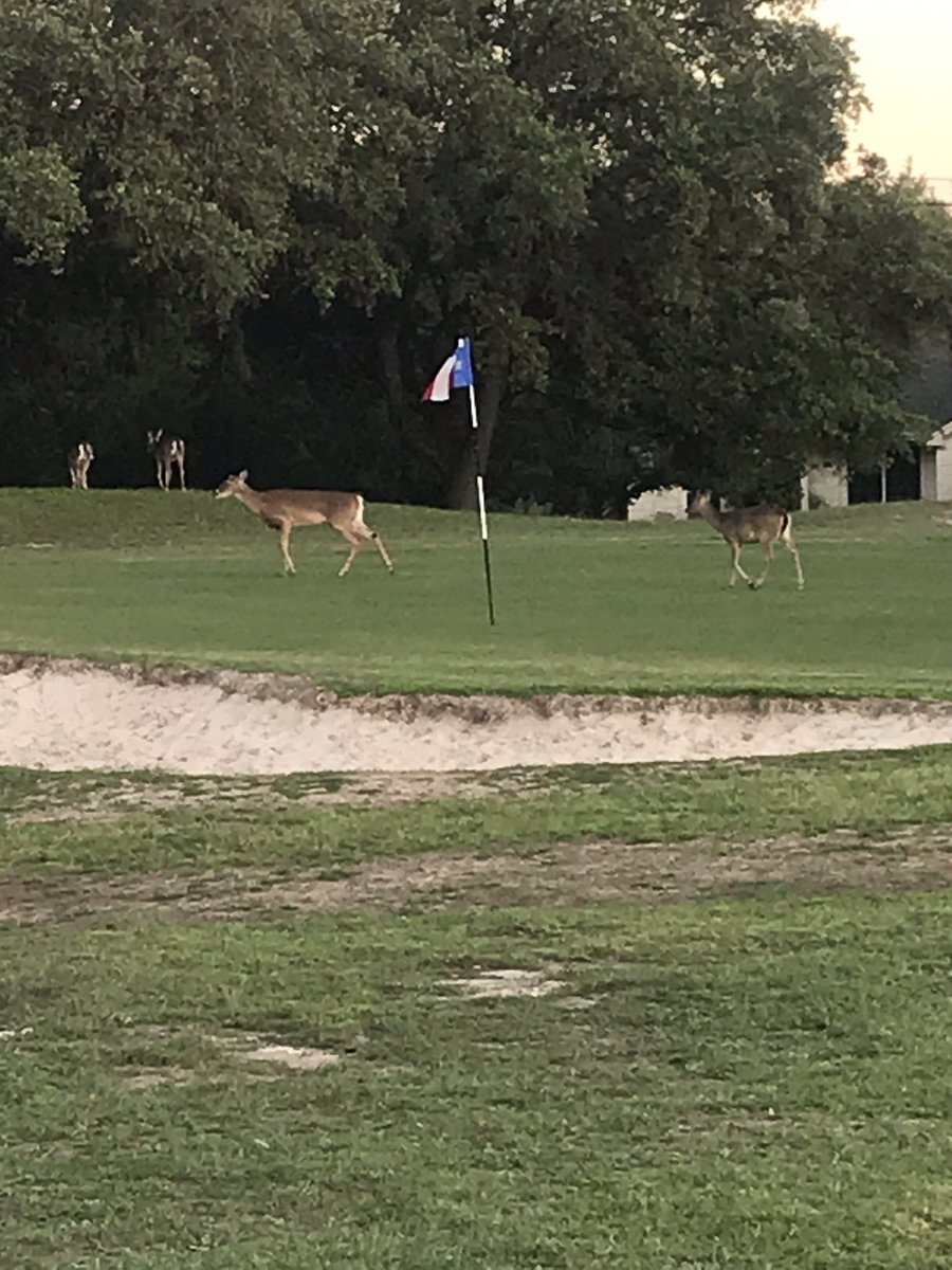 So nice to enjoy nature during our quarantine!