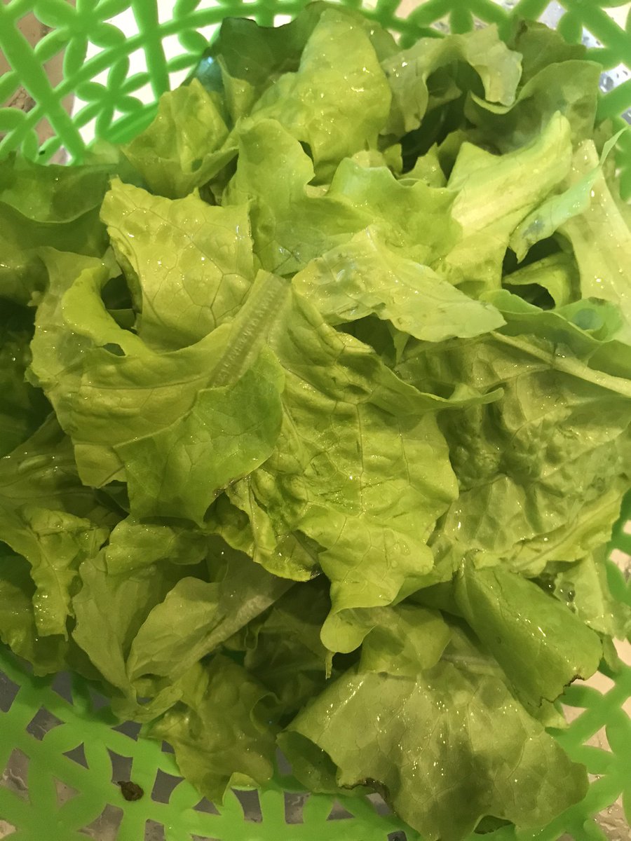 My first harvest of 2020 on #NationalGardeningDay