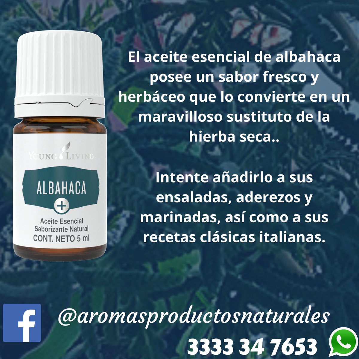 aromas9's tweet photo. 5 ml. $220

#aromas #albahaca #albahacaplus #aromaterapia #cocina https://t.co/RfQEwnacaM