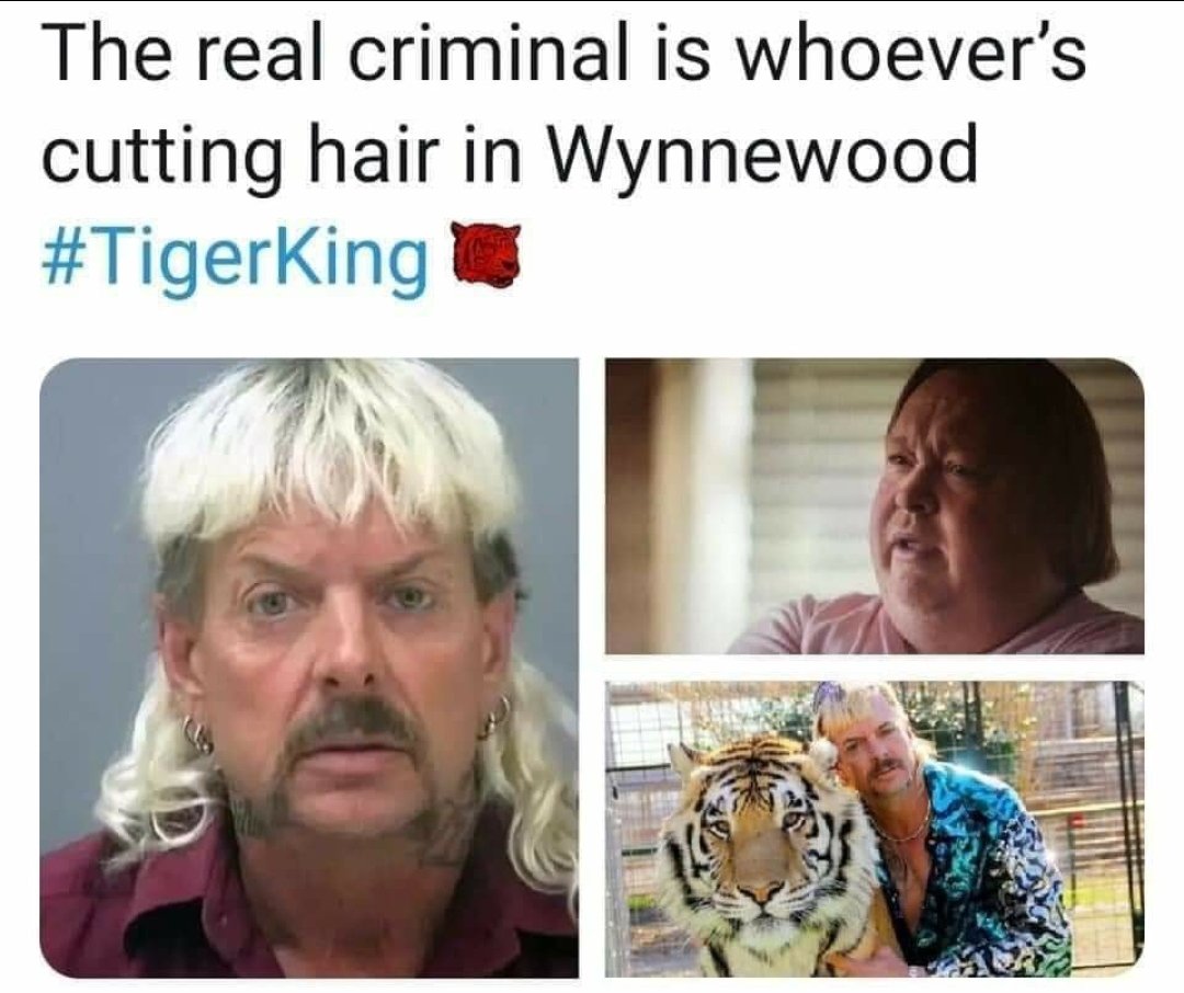 #TigerKing 
Absolute dead at these!!! 😄😅
