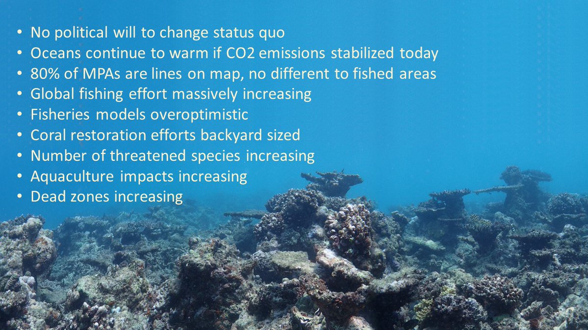 I like good news as much as anyone, 
but I am over the marine environment being sold as a good news story. 
It's not.

That's what I see after spending months each year for decades counting fish underwater worldwide

What the 'new research' fails to address: 👇🏻