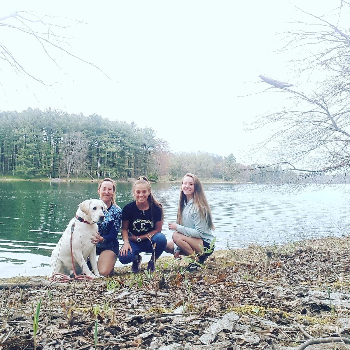 SherriLeimkuhl1's tweet photo. Week 2 of #training: #5k on the #trails with these three!
#trailrunning #trailrunner #trailrun #lakelife #lakeliving #fitlifestyle #writersanddogs #writersofig #writerlife #swimbikerunwrite #labrescue #labradorretriever #labradorretrievers #runningcommunity #runninglife #Writer https://t.co/nb3akMhPAI