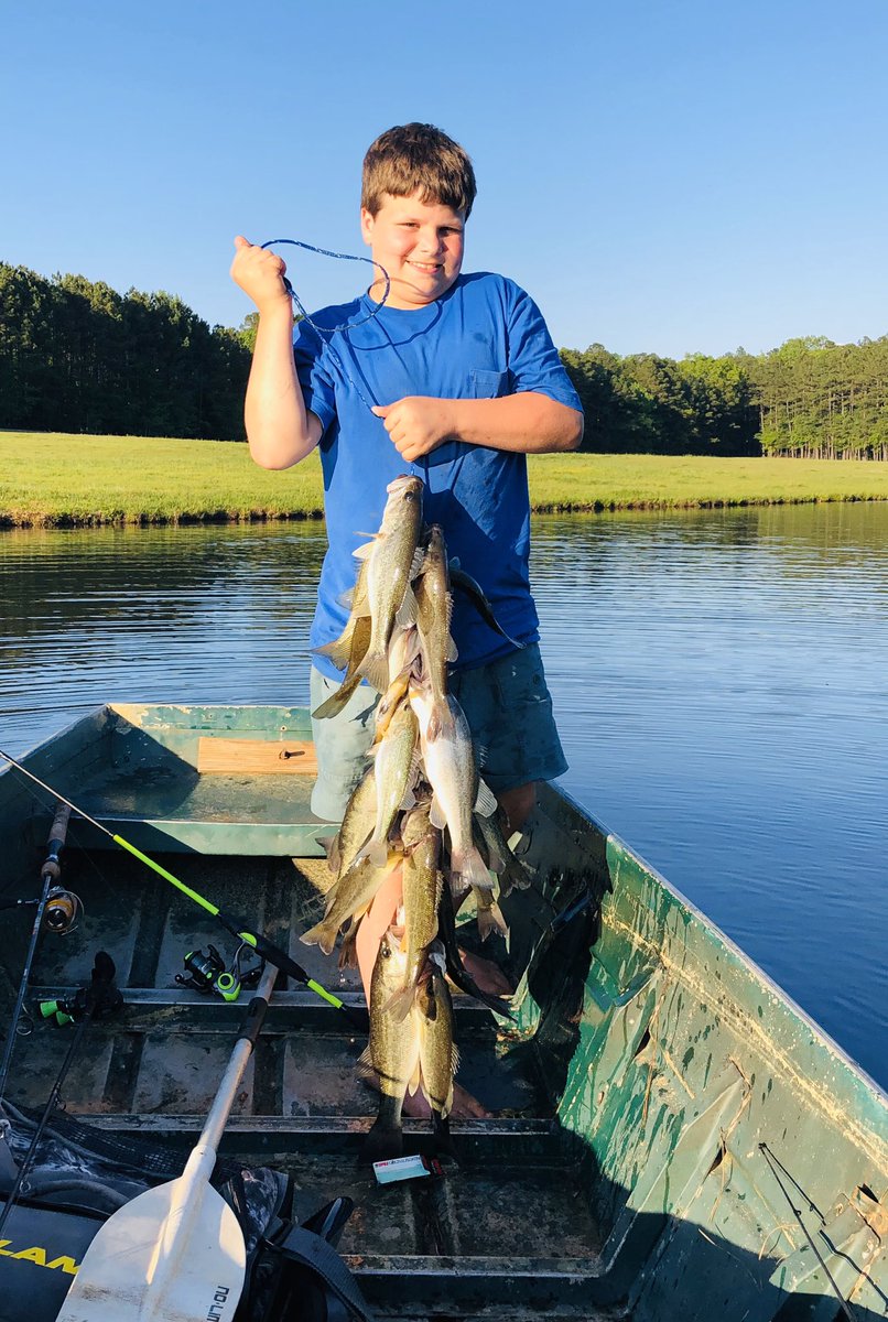 Stephen Lincoln tweet media