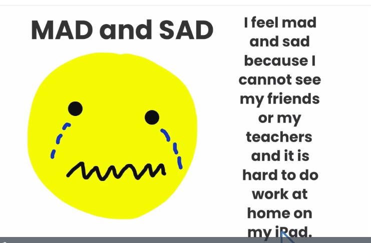 VAD1045's tweet photo. For attendance today my students responded to a prompt asking how they are feeling about not coming back to school this year. https://t.co/Gu7UE31zrh