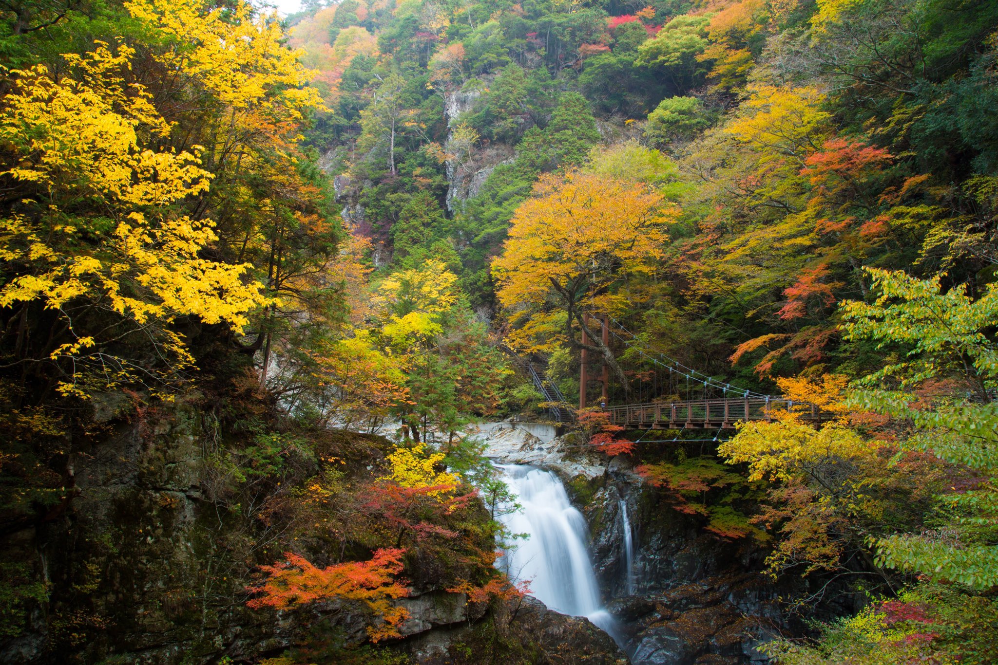 Twitter 上的 しん 天川村にあるみたらい渓谷は紅葉がめちゃくちゃ綺麗なところです 11月のもみじ まつりでは高くない料金でヘリコプターに乗せてもらえて空から紅葉が楽しめ贅沢なひととき味わえます おうちで奈良旅 T Co Kk6ktrqct9 Twitter