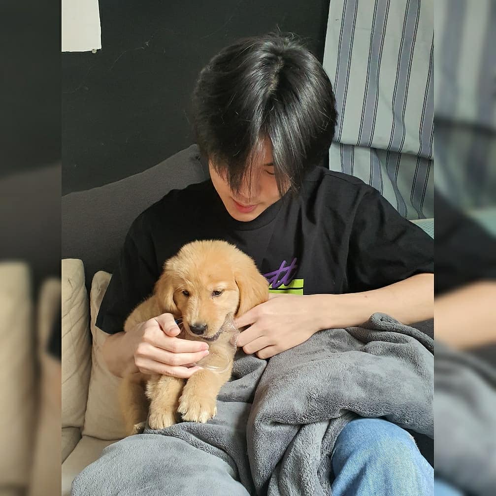 [] prem with puppies/dogs     ↬ a wholesome thread ୭̥⋆*｡