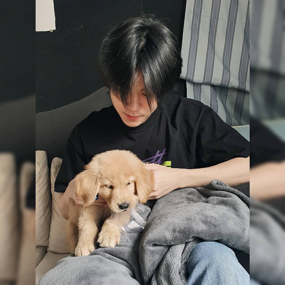 [] prem with puppies/dogs     ↬ a wholesome thread ୭̥⋆*｡