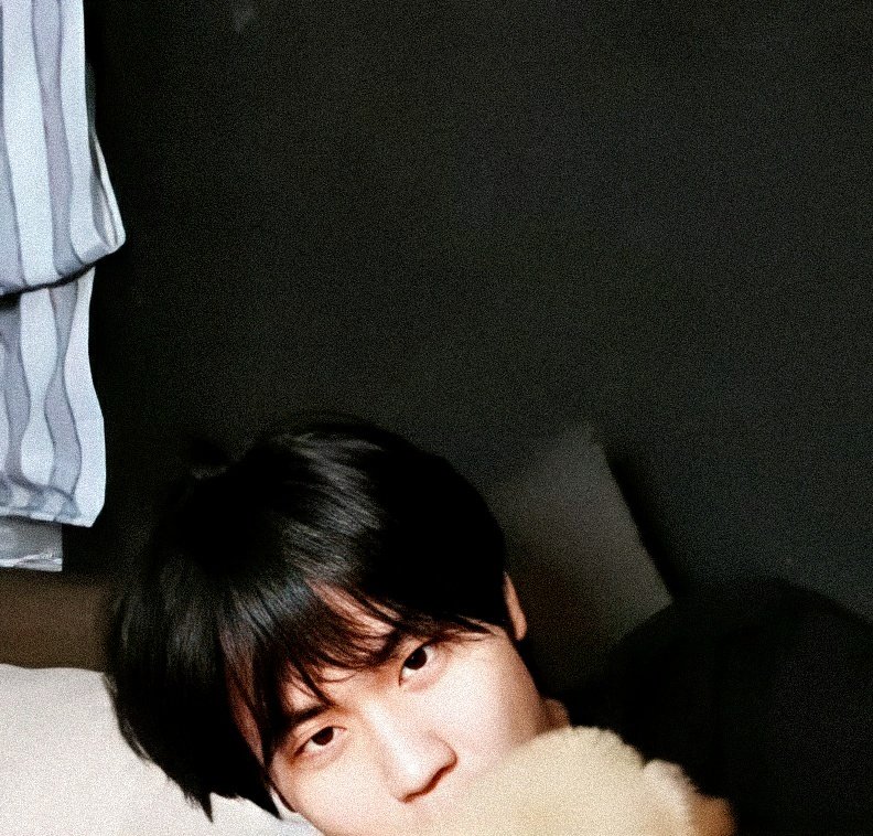 [] prem with puppies/dogs     ↬ a wholesome thread ୭̥⋆*｡