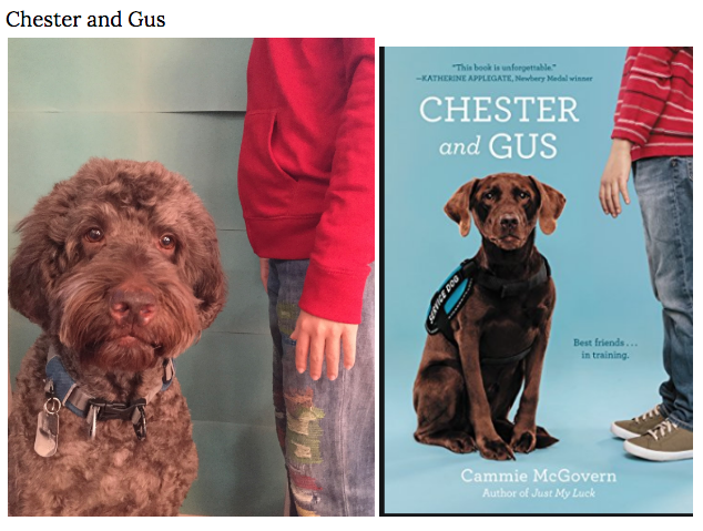 Book covers are real!