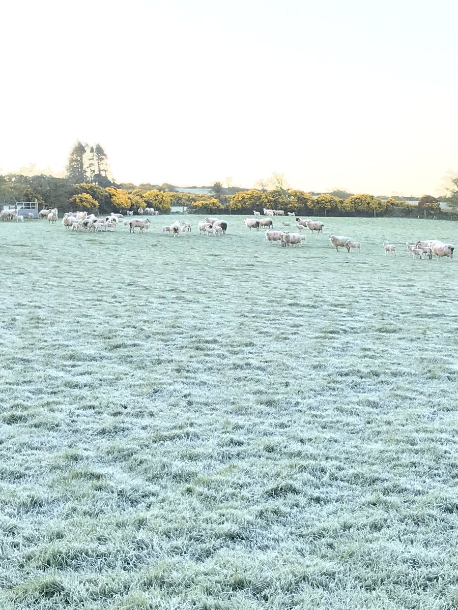 fimalone1 tweet media