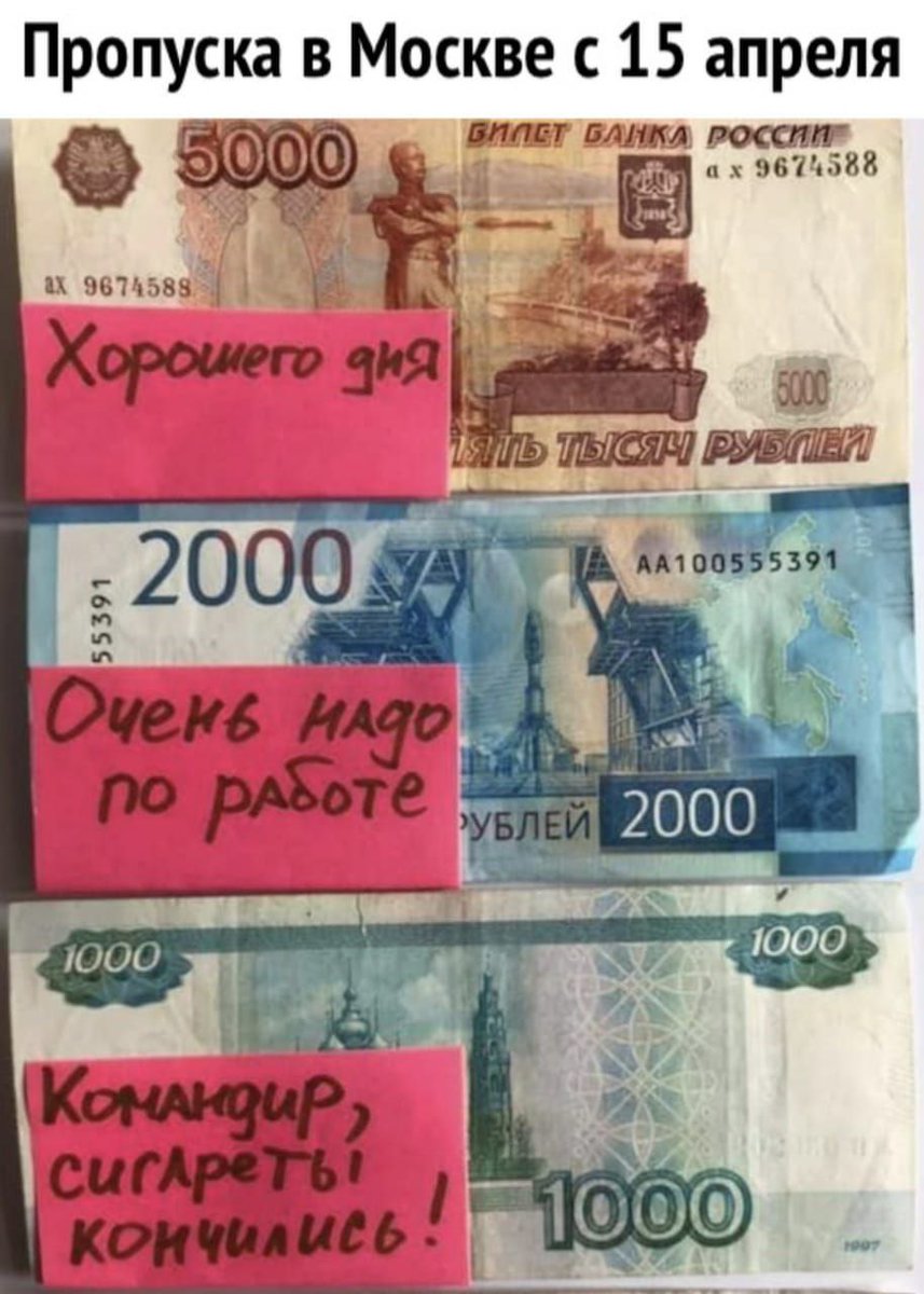 Bulvar22267's tweet photo. #цифровойпропуск https://t.co/SLQ4XXsJBf