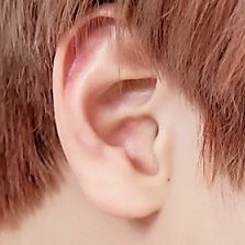 his ears