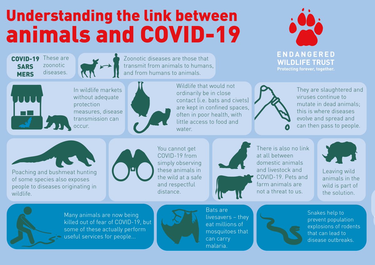 Endangered Wildlife Trust On Twitter With So Much Misinformation Fear Surrounding Covid19 There Are Increasing Anecdotal Reports Of Attacks On Wildlife Abandonment Of Pets Livestock Due To The Pandemic