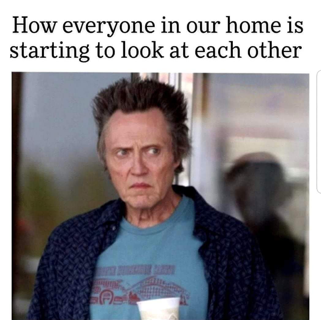 LucieBee_'s tweet photo. #lovemesomeChristopherWalken #COVID19 #TuesdayThoughts #QuarantineLife #COVID19Ontario #imnotwithmaga 🌊 all the way!! #followmytwitter #followmyinstagram @_luciebee #follow4follow #smokeweed #Stonerfam #mmemberville #potheadarmy #dankdolls #spnfamily #cannabis #oddmemes https://t.co/EqYzCYPyjX