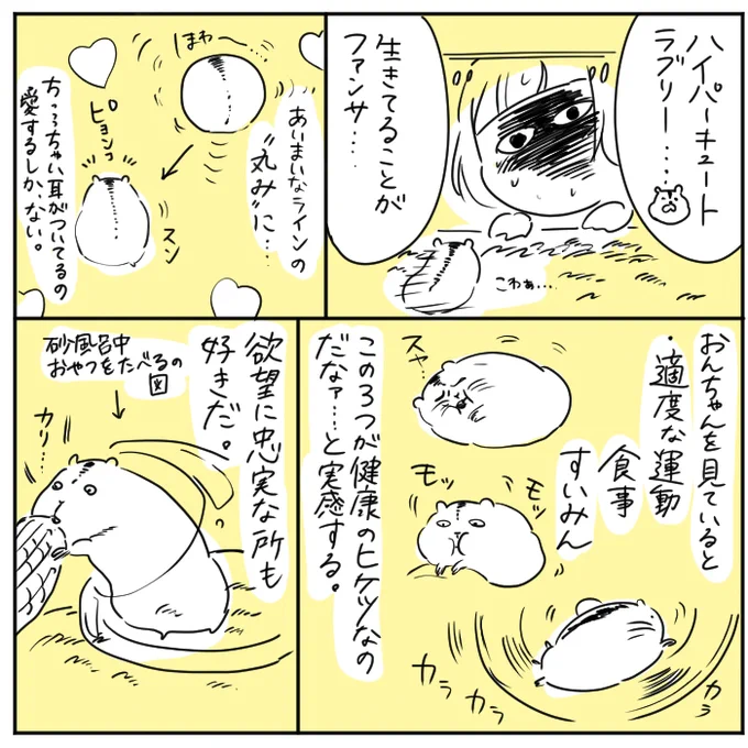 ちょっとしんどいことがあっても「ま、家にハムスターいるしな…」という気持ちになります、かわいい!! 