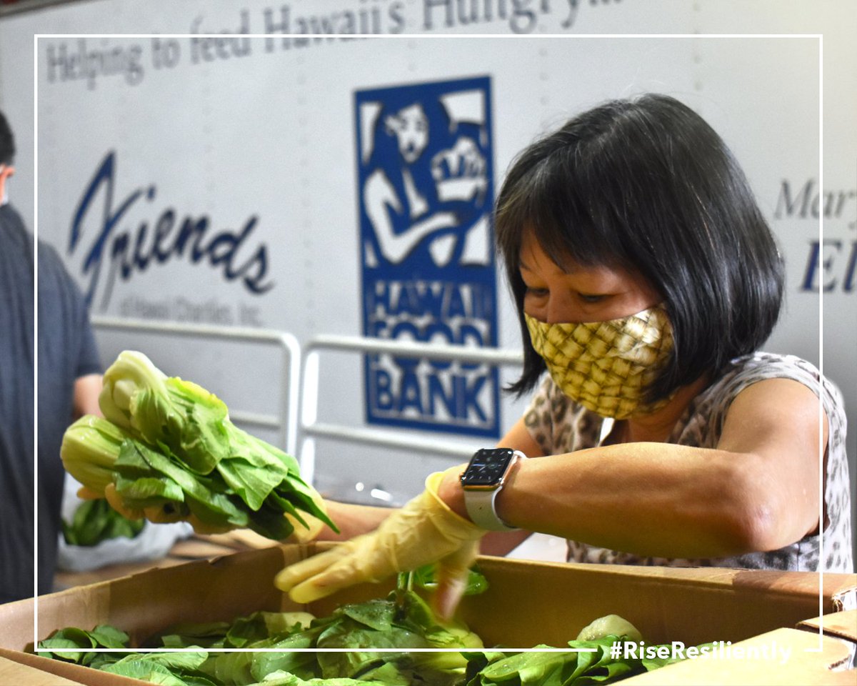 hawaiifoodbank's tweet photo. To help contribute to the sustainability of Hawaii past #COVID19 while also providing nutritious food to those who need it most, we’re proud to announce our partnership with @HFBF1. Through this, we'll purchase produce from local farmers and distribute it to those in need. (1/3) https://t.co/y4eyvGnuwU