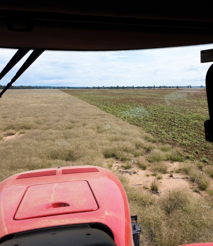 kline_ag's tweet photo. This picture was taken at Dave Farr's property east of Narrabri. Shows Windmill Grass that has had 3 hits with chemical and now Speedtilling.

#klineag #caseih #speedtiller #windmillgrass #weedcontrol #chemicalresistance https://t.co/sNOQ8JjP65