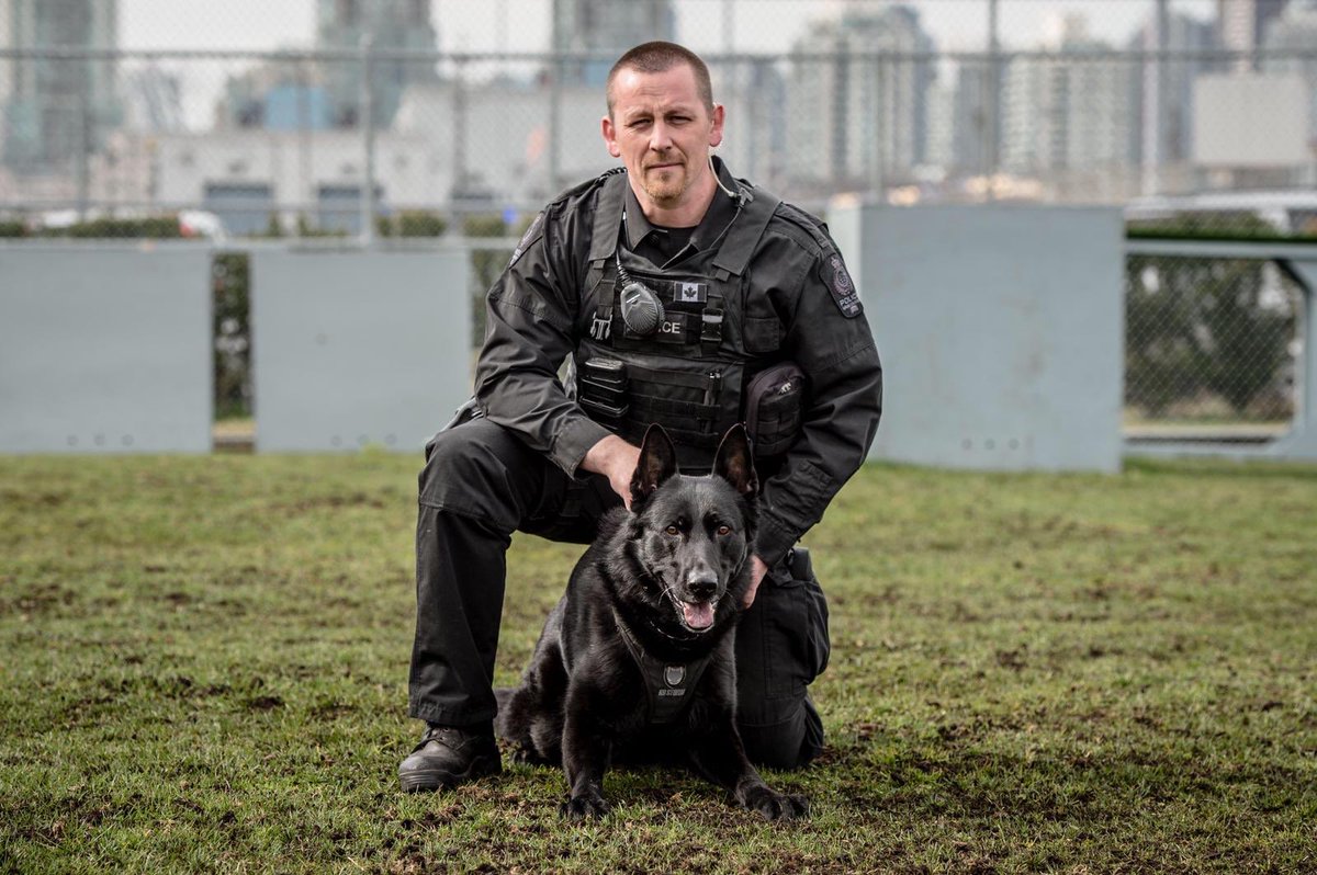 VPD Canine Unit tweet media