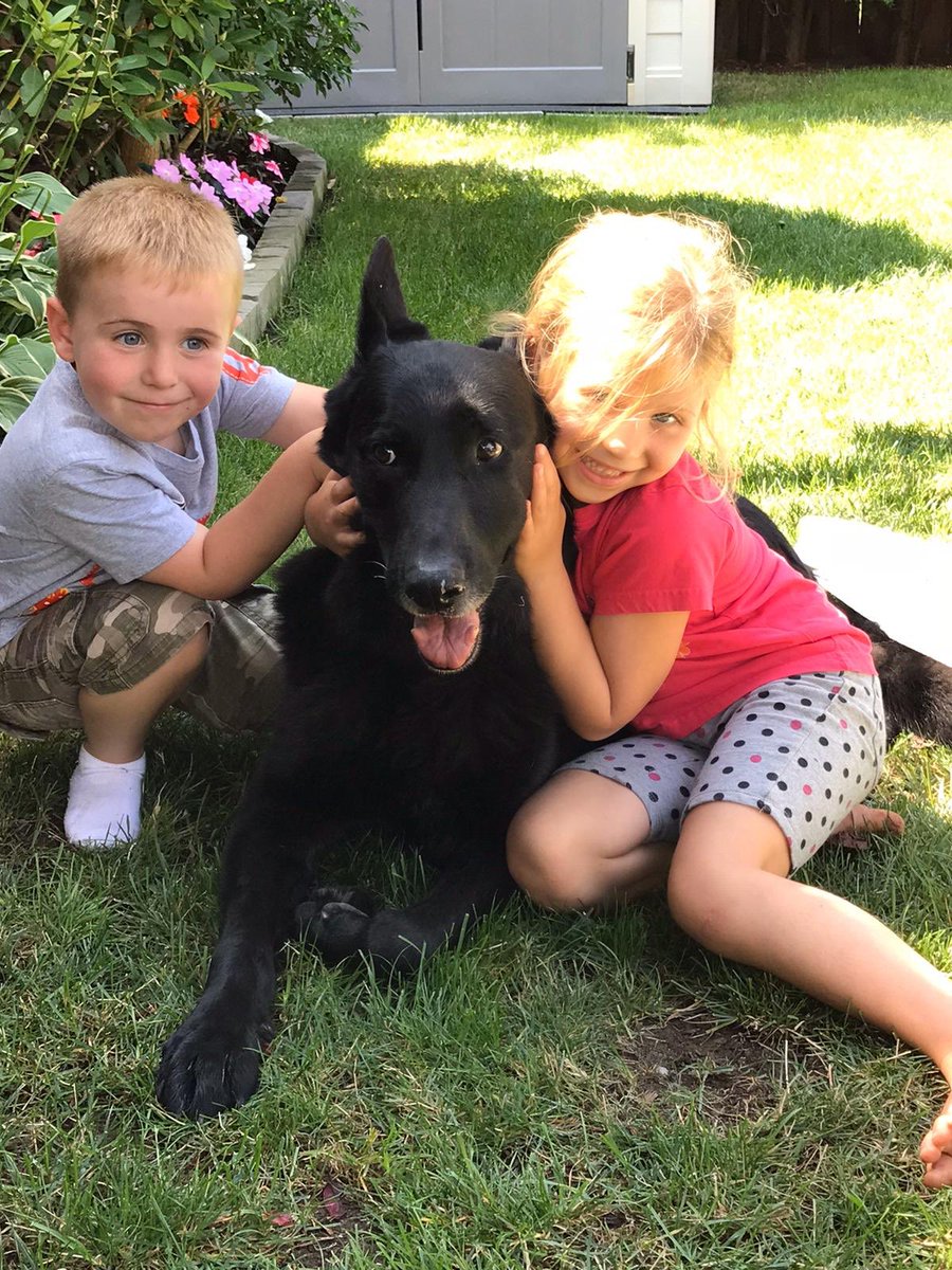 VPD Canine Unit tweet media