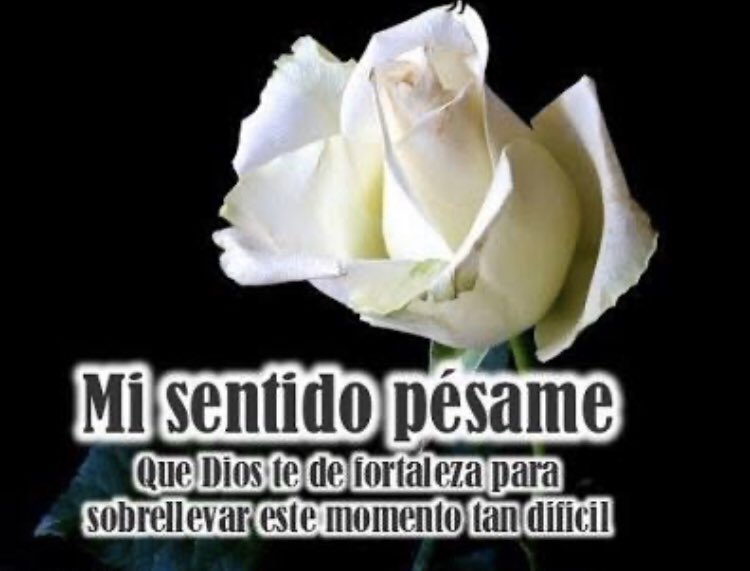 SilySoto's tweet photo. @aquavox mi querido Ex Diputado y gran amigo y paisano, le envío un fuerte abrazo y mis sinceras condolencias, está en mis oraciones para que encuentre pronta resignación a dolor tan Grande, recuerde solo se nos adelantan y serán ángeles que nos seguirán guiando. https://t.co/QKuA4WjcjA