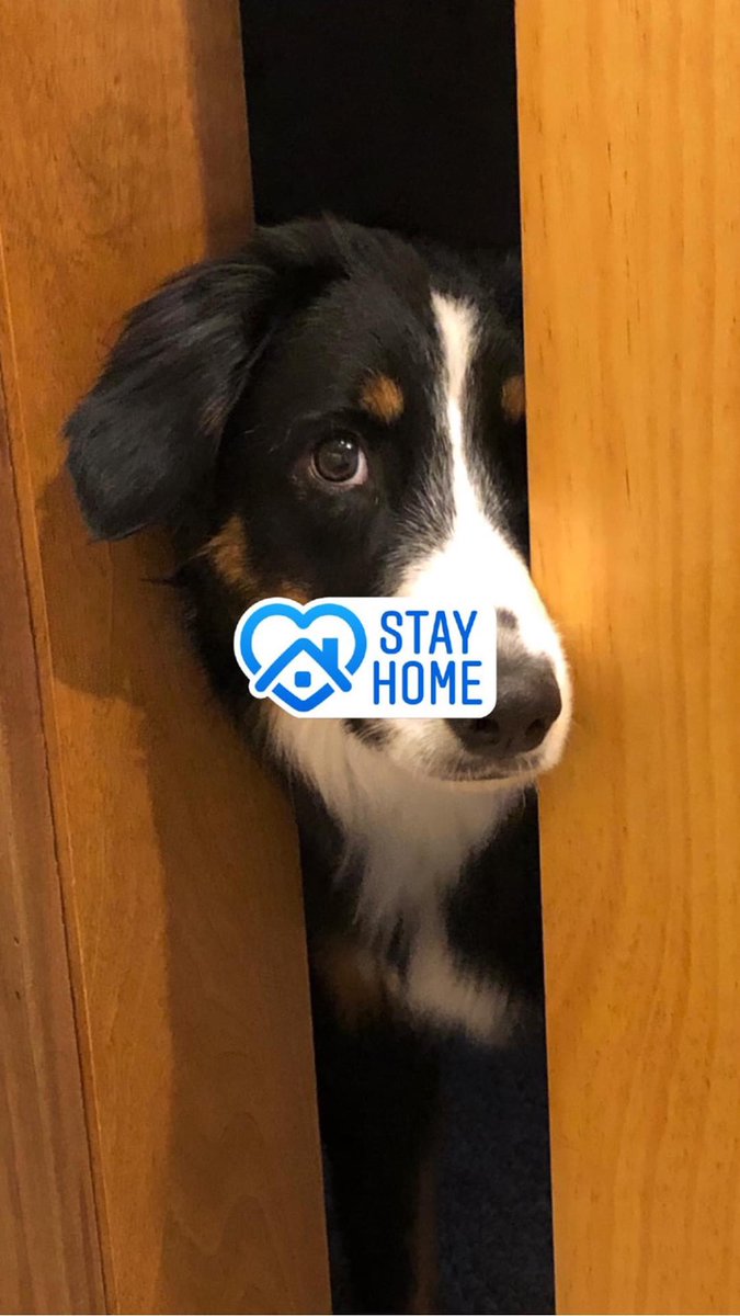 MSBonham's tweet image. A message from Oscar