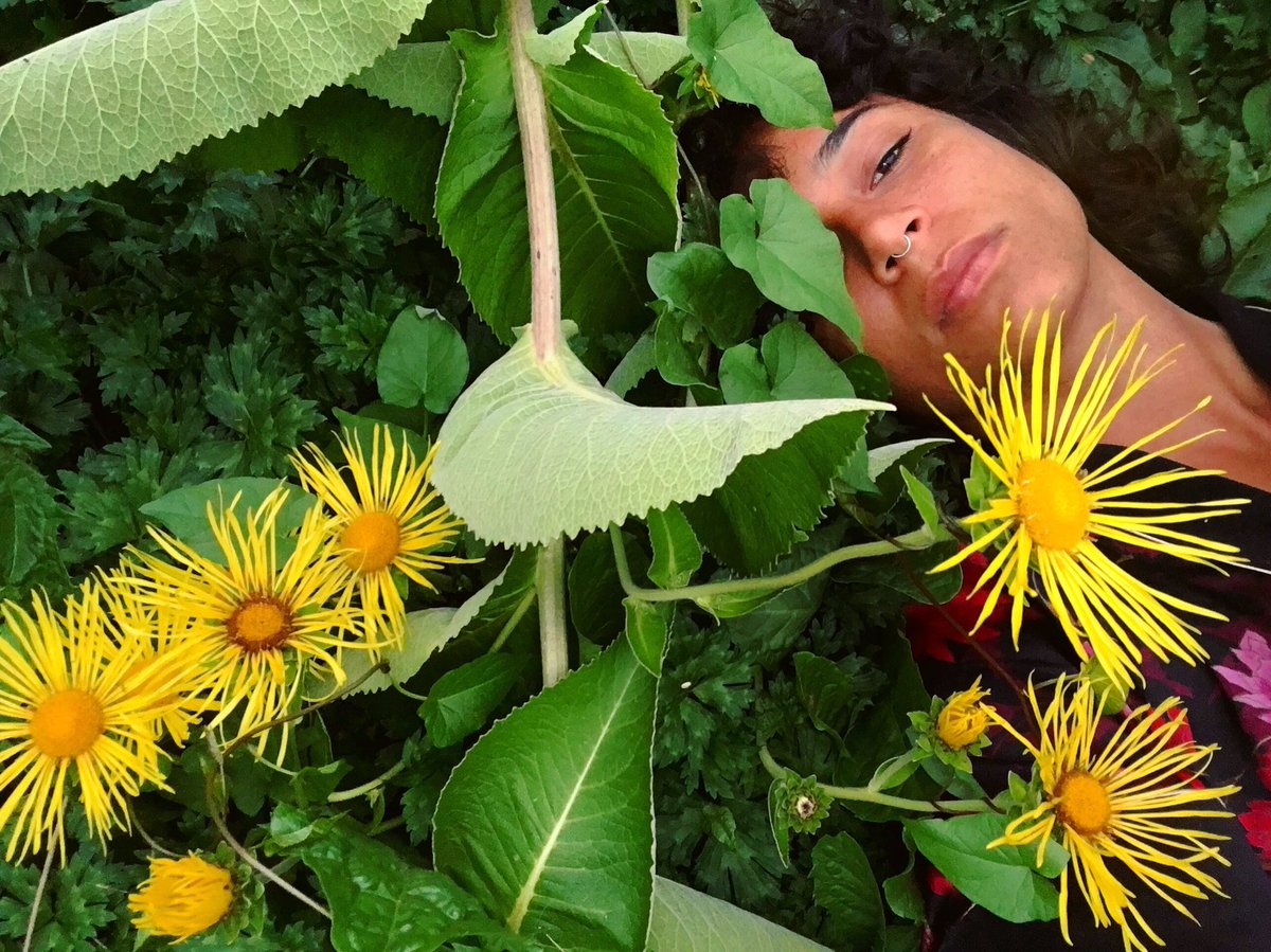 Mamabearmowgli's tweet photo. Because it’s spring 🌼 https://t.co/BMpmf3c99u