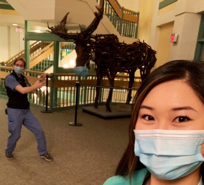 andreatou_MD's tweet photo. Thidwick the moose is joining in on the #PPE precautions! #pediatricians #nightshift #StayHome #dartmouth https://t.co/qZEZEKHRuX