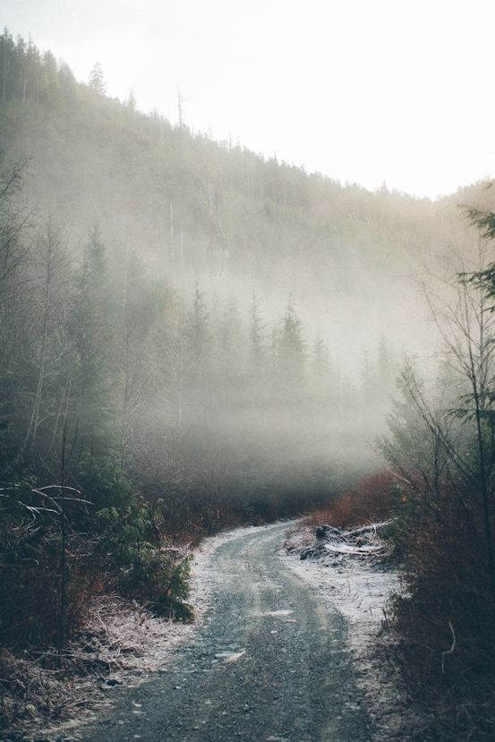 TicaProductions's tweet image. Backroads #Cinematic #VisualDirector