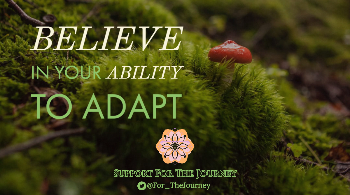 For_TheJourney's tweet photo. BELIEVE-ABILITY, IN YOUR ABILITY⁠
adapt⁠
evolve⁠
BEcome⁠

Love Unconditional ❤️
#lightworker #inspirtation #transformationalwisdom #positivearmy #positivity #unconditionallove #spiritualjourney #gratitude https://t.co/mxB1QVhqjd