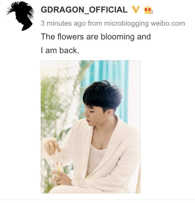 batangmaylav4rn's tweet photo. Ang hilig nyo sa mga nagbubloom??? Hahahaha π€£π€£π€£π€£ππππ
#GDTea #WelcomeBackGD https://t.co/7nQx8nSuAf