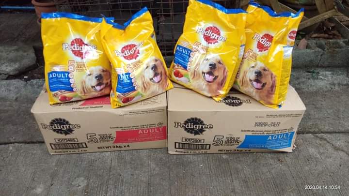 AKFanimalrescue's tweet photo. 1/2 Pedigree supports AKF’s #WeFeedAsOne campaign! ❤️ Dogfood was brought to Cora of Quezon City who is caring for rescued and disabled dogs. 

Thank you so much Pedigree, you supported our Taal Relief operations, and you support us again in this time of crisis. https://t.co/CpV87RSYkd