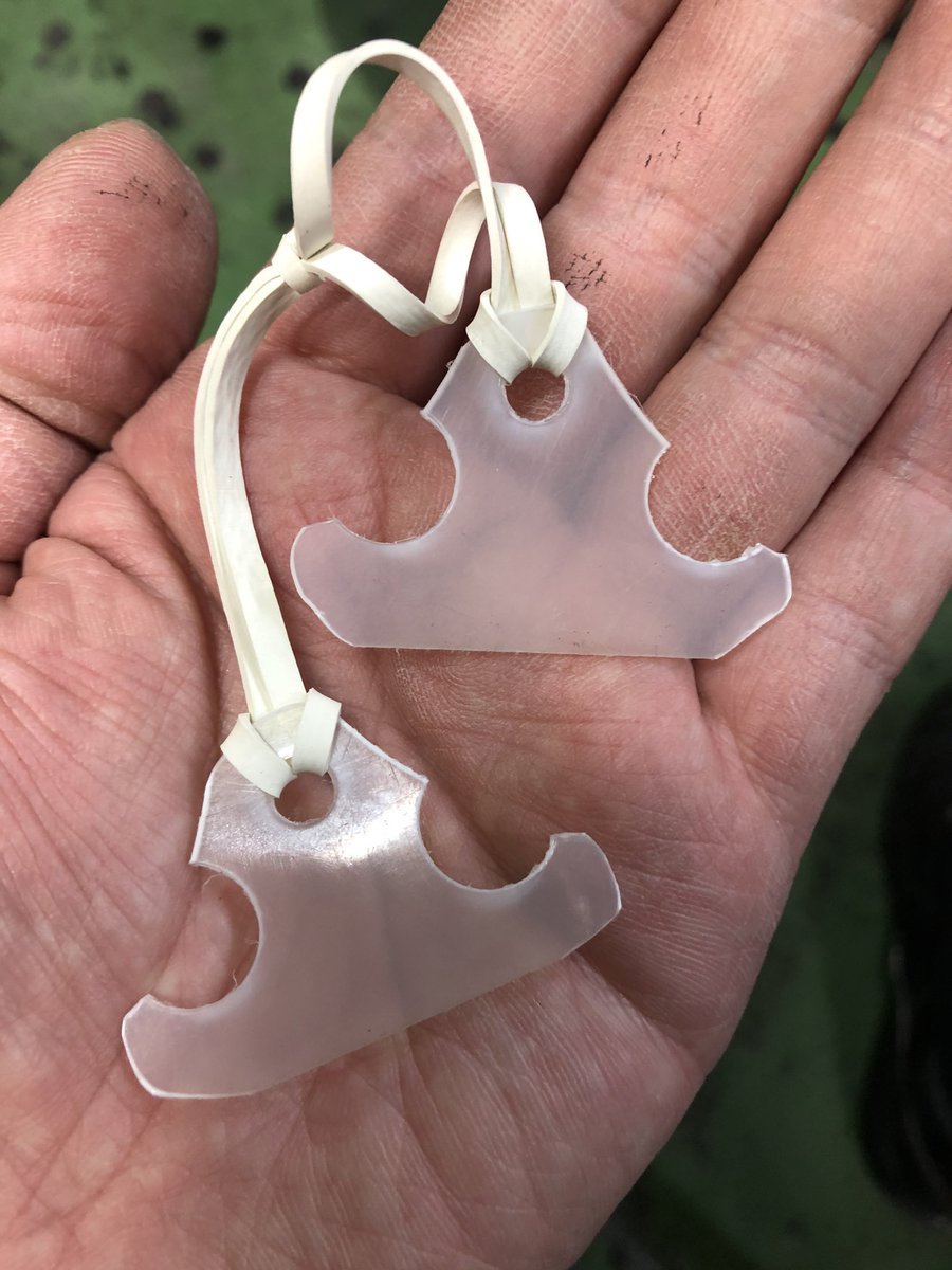 矢間山 クイーンズライチ 尖った部分が痛いので削ったらもはやマッシュルームの断面図みたくなってしまった んんー サジタル面切断 みたくなってしまった