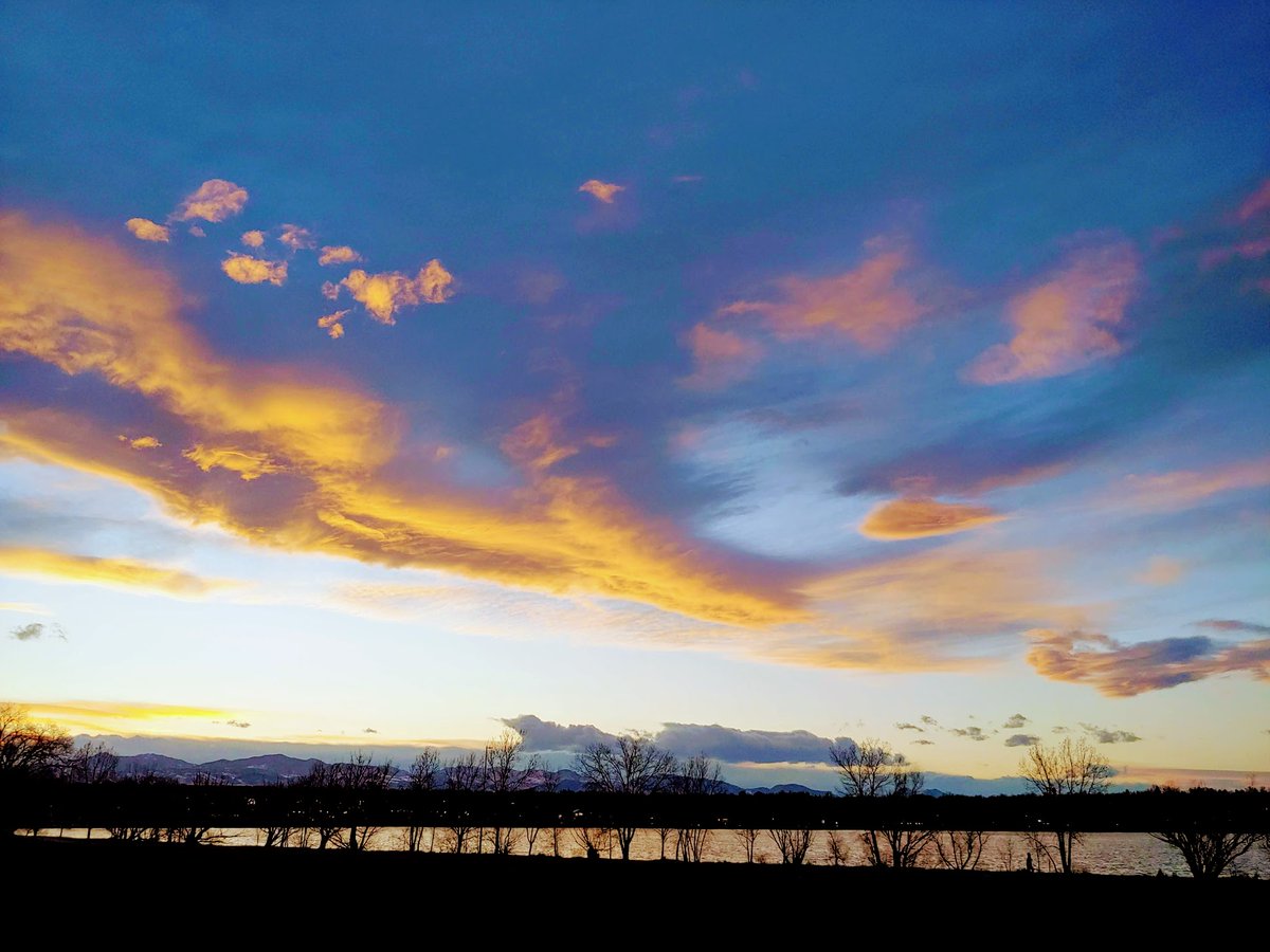 A glowering Rorschach sunset, and a happy muskrat. I think that's a muskrat. Correct me if I'm wrong.